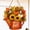 Fall5, variant on Fall Door Decor Wooden Pumpkin Door Hanger, Hello Fall Sign for Front Door