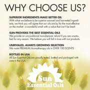 Sun Essential Oils 4oz - Eucalyptus Essential Oil - 4 Fluid Ounces