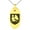 Gold, variant on Stainless Steel Dragon Guardian Coat of Arms Shield Engraved Small Oval Charm Pendant Necklace