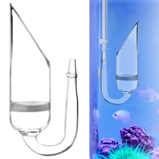 Tank Tank CO2 Difusor de burbujas Difusor de burbujas fácilmente limpio de vidrio silencioso Reactor de dióxido de carbono Difusor de acuario para