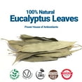 thumbnail image 6 of Akshit Dried Eucalyptus Leaves,  Natural Eucalyptus Tea, HerbalTea,  Non-GMO, Caffeine-Free. 2.6 oz, 6 of 9