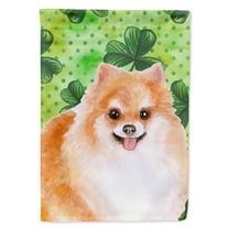 Carolines Treasures BB9890CHF Pomeranian 2 St Patricks Flag Canvas House Size  Large multicolor