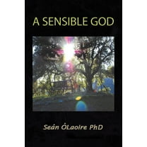 A Sensible God (Paperback)
