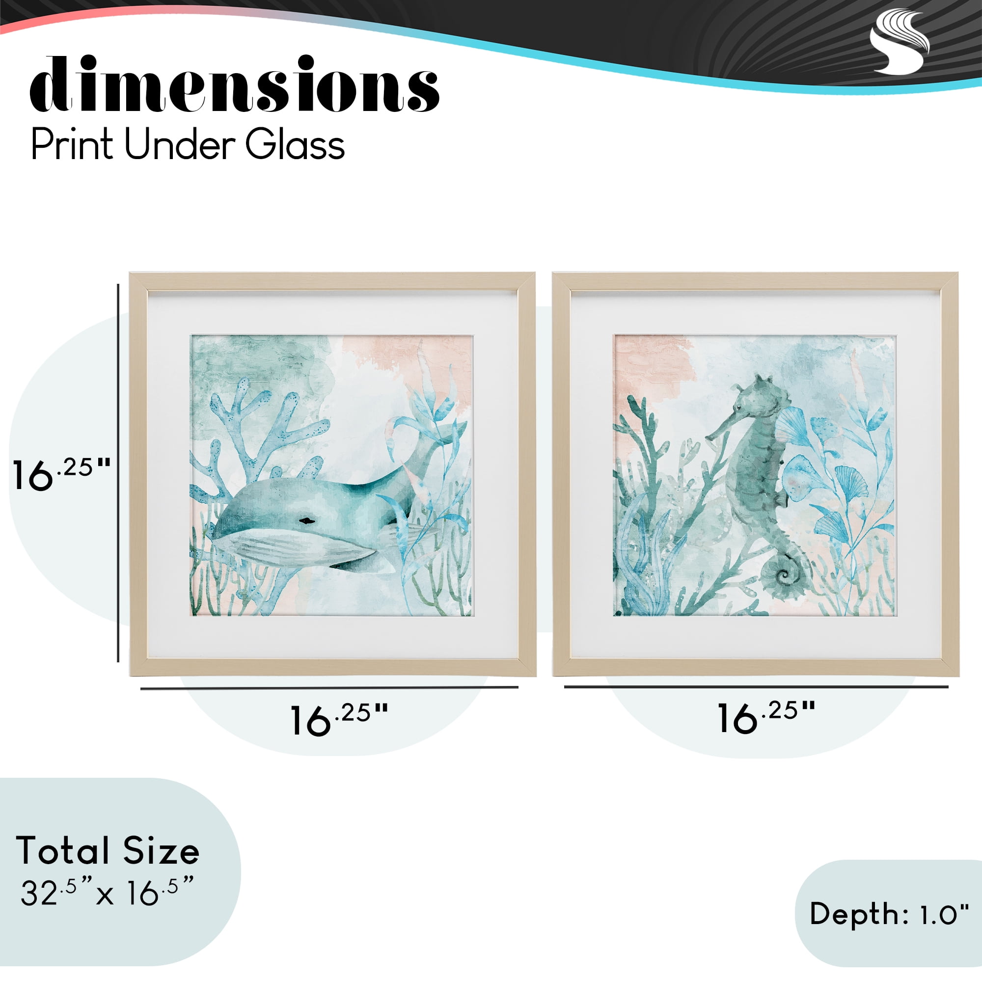 Stupell Industries Whale & Seahorse Sea Swim 2 Piece Birch Framed Print Under Glass Set, design by Kim Allen