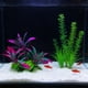 thumbnail image 5 of Plantas Acuáticas De Plástico 1 pieza de algas artificiales, plantas acuáticas de plástico, decoración para peceras y paisajismo de acuarios. JASKFLY, 5 of 8