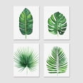 thumbnail image 3 of PixonSign Frameless Tropical Island Banana Palm Leaf Wall Art, Set of 4 Nature Wilderness Wall Decor Prints, Botanical Floral Leaves Wall Décor, Home Artwork for Office, Bedroom - 12"x16", 3 of 5