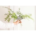thumbnail image 3 of 2 Set- Egg Bouquet Floral Cage by Syndicate Sales, 3 of 7