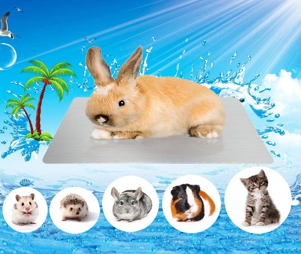 Pet Cooling Mat for Bunny Hamster Puppy Kitten Guinea Pig & Other Pets Stay Cool 