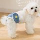 thumbnail image 5 of Wdftyju Pantalones fisiológicos para pañales para perros, bragas sanitarias lavables para perros, pantalones cortos, breves Wdftyju 5wg3ff9ca5ng5tz4D14, 5 of 8