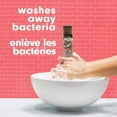 thumbnail image 3 of Softsoap Limited Edition Cherry Blossom Liquid Hand Soap, 221ml Pump Bottle, 3 of 9