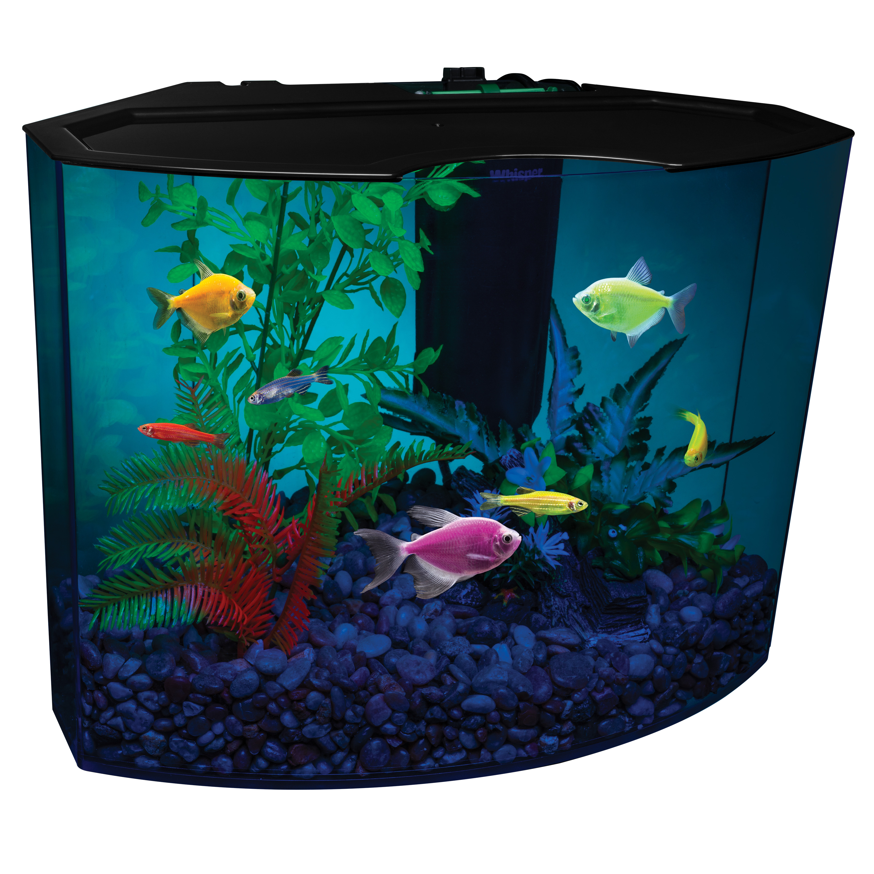 GloFish 5 Gallon Aquarium Kit with LED Light photo 2