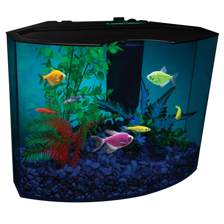 Glofish 5 gallon aquarium kit sale