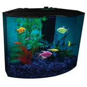 GloFish 5 Gallon Aquarium Kit with LED Light and Filter