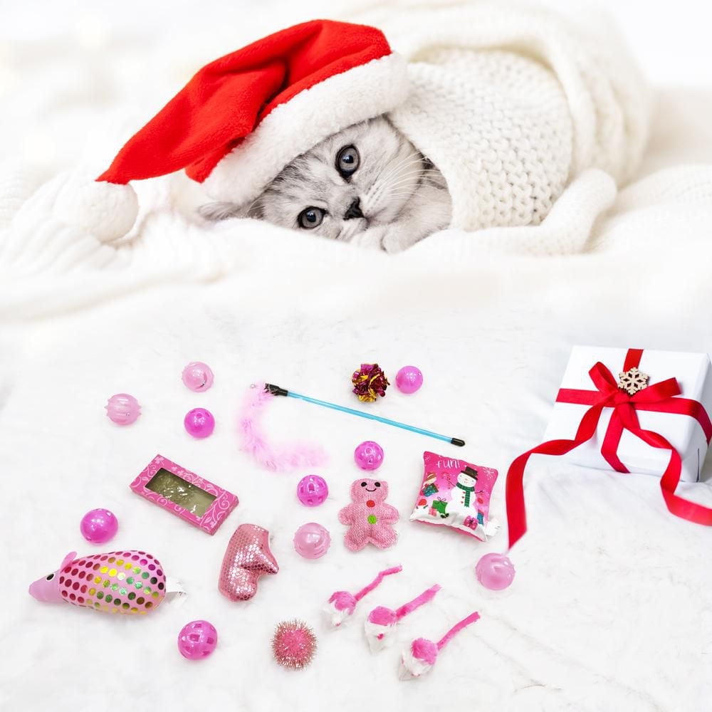 Holiday Time 21 Piece Cat Toy Stocking, Pink