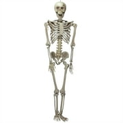 6.5' Ivory and Gray Life-Size Jointed Skeleton Hanging Halloween Prop Decoration