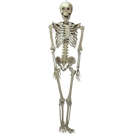 6.5' Ivory and Gray Life-Size Jointed Skeleton Hanging Halloween Prop Decoration