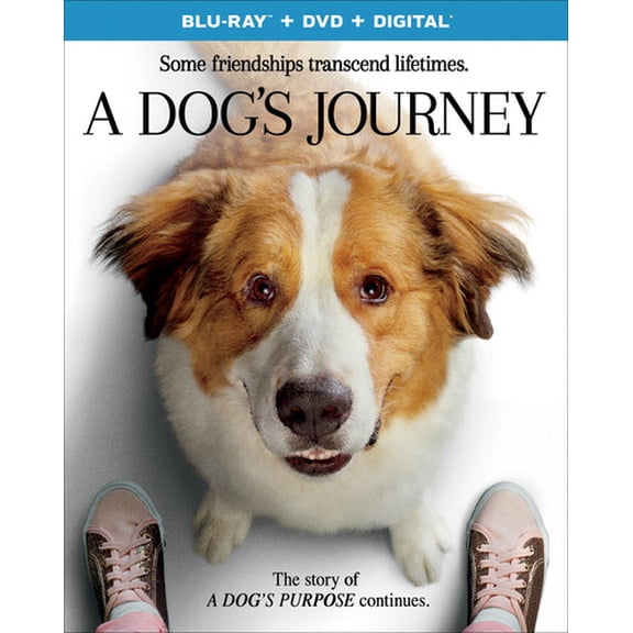 Pre-Owned A Dog's Journey (DVD + Digital) [Blu-ray]