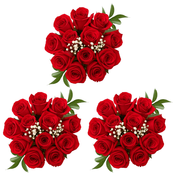 3 Dozen Red Roses with Baby's breath and Green- Fresh Flower Delivery
