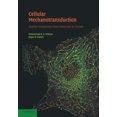 thumbnail image 1 of Cellular Mechanotransduction: Diverse Perspectives from Molecules to Tissues, 1 of 2