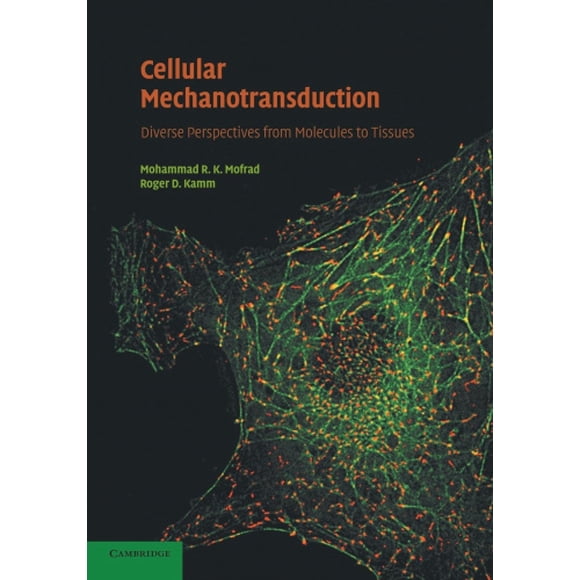Cellular Mechanotransduction: Diverse Perspectives from Molecules to Tissues