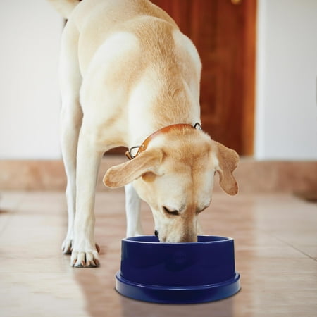 UPC: 0655199025503 | K&H Pet Products Coolin  Bowl  Blue  96 oz