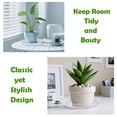 thumbnail image 6 of urorentea 24Pcs Clear Plant Saucer, 6 8 10 12inch Round Plant Pot Saucers, Plastic Plant Drip Trays, Flower Pot Saucers for Indoor Outdoor Garden Plants, 6 of 7