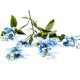 thumbnail image 2 of Gwong Decoración hogareña Flor artificial ecológica amigable sin fama de plástico flores falsas decoración para el hogar Gwong 21066738, 2 of 6