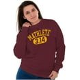 thumbnail image 3 of Mathlete Pi Math Student Teacher Sweatshirt for Men or Women Brisco Brands 3X, 3 of 6