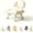 Beige, variant on Rolling Low Stool with Backrest, Cloud Soft Swivel Vanity Chair (Coffee) | Cloud Soft Vanity Swivel Stool, Low Rolling Makeup Chair With Wheels, Thick Cushion Back Support, Compact Size