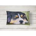 thumbnail image 2 of Caroline's Treasures SS8596PW1216 Entlebucher Mountain Dog Decorative   Canvas Fabric Pillow, 12H x16W, multicolor, 2 of 3