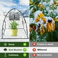 thumbnail image 5 of Mini Greenhouse PVC Pop Up Plant Greenhouse Tent Waterproof Windproof Greenhouse Cover Foldable Gardening Plant Cover Reusable Mini Plant Tent for Indoor Outdoor 56x56x56cm/71x71x75cm/91x91x95cm, 5 of 10