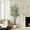6FT, variant on Ataucjin Ataucjin Artificial Eucalyptus Tree,5ft Realistic Artificial Eucalyptus Tree with White Planter, Large Faux Floor Plant with Lights, Ideal for Home Office & Living Room Decor