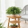 thumbnail image 4 of BotaniNest Lifelike For Elegant Home And All Year Round, 4 of 5