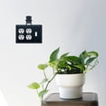 thumbnail image 2 of Adirondack - Double Outlet and Single Switch Cover, 2 of 2