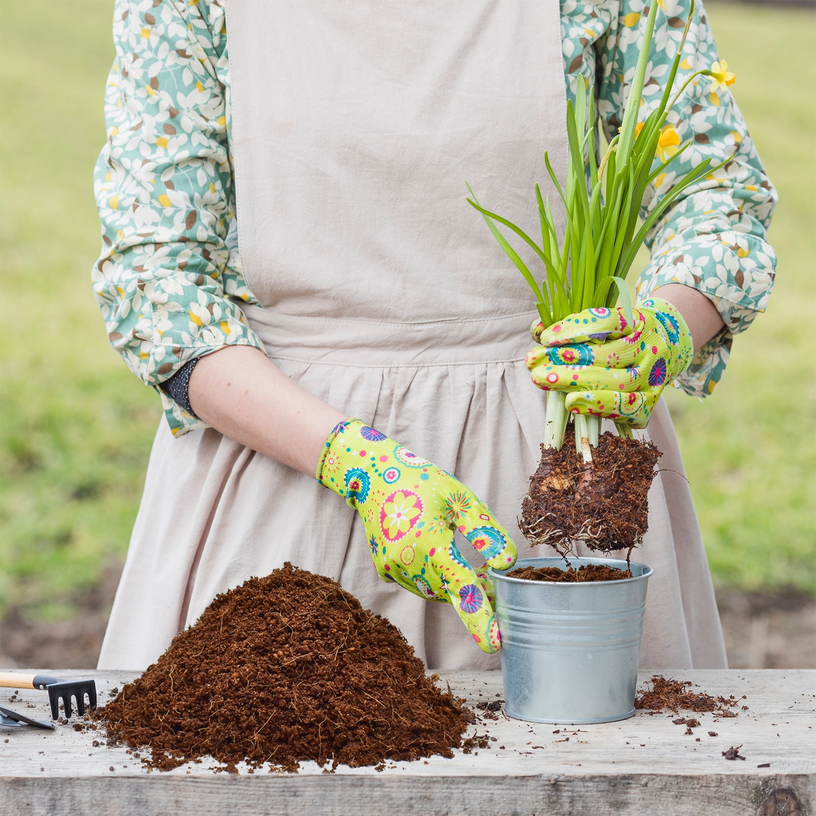 ZeeDix 10lb of  100% Organic Coco Coir Bricks with Low EC and pH Balance High Expansion Coco Fiber for Herbs, Flowers,Plants Gardening Renewable Coconut Soil