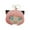Pink, variant on NAOJIE Spy X Family - Director Chimera Cute Plush Doll Keychain 5.9",Director Chimera,Director Chimera Figure,Spy X Family Merch