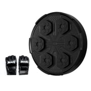 Boxing Machine, Smart Electronic Music Wall Mounted Boxing Machine Training Punching, Smart Boxing Target Workout Machine for Home, Indoor and Gym