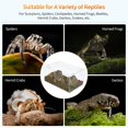 thumbnail image 5 of Zshan 1pcs Reptile transparent acrylic breeding box, 5 of 5