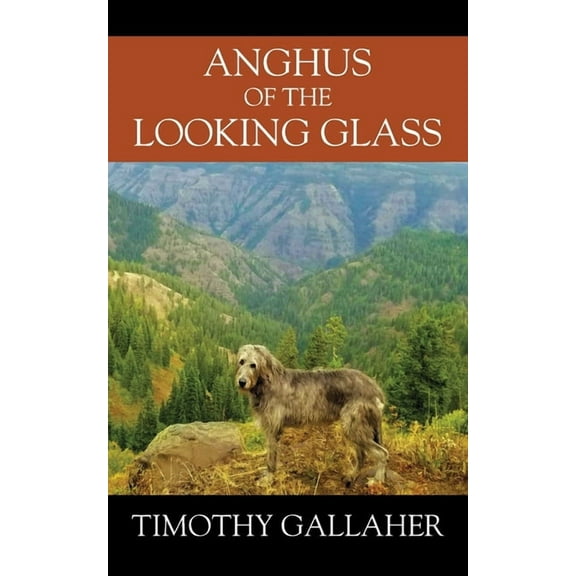 Anghus of the Looking Glass, (Paperback)