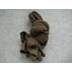 thumbnail image 1 of Medias de tenis de baile latino de malla suave Calcetines de baile Medias de malla pequeña Medias de malla grande Pantimedias de color caramelo, 1 of 3