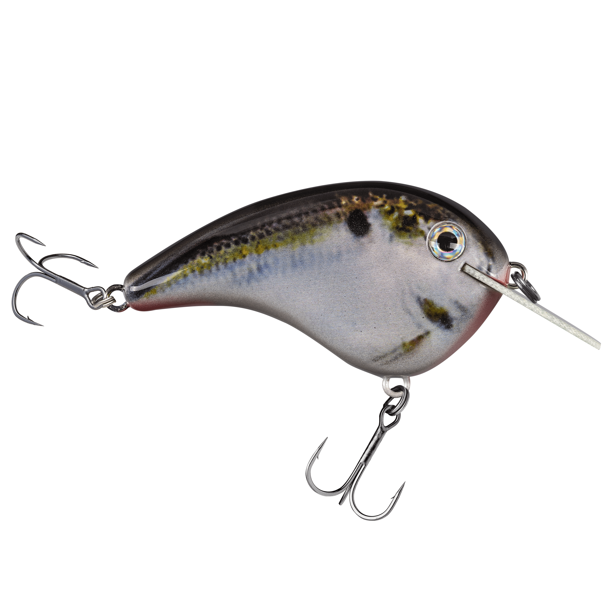 Strike King Chick Magnet Flatside Crankbait Fishing Lure Natural Shad