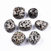 Natural Dalmatian Jasper Beads Healing Stones for Energy Balancing Meditation Therapy Tumbled Stone Vase Filler Gems No Hole/Undrilled Nuggets 19~30x18~28x10~24mm 250~300g/bag 1Bag