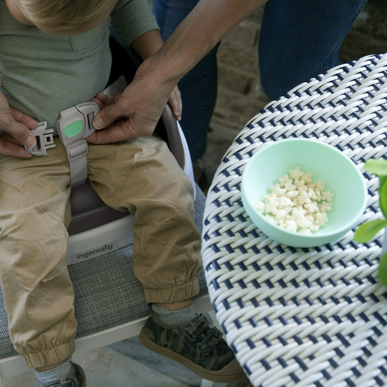 Ingenuity Toddler Booster Seat