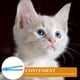 thumbnail image 4 of GOOHOCHY Cepillo quitamanchas para mascotas, peine para ojos de perros y gatos, peine para el cuidado de mascotas para eliminar la mucosidad y las costras., 4 of 8