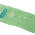 thumbnail image 3 of Cuello de papel protección silenciador salón corte de cabellero que cubre tiras Barber herramientas duraderas desechables accesorio peluquería Colr - Verde Macarena papel de cuello de barbero, 3 of 8
