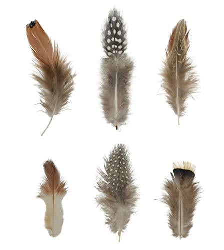 Mandala Crafts Chicken Natural Loose Feather for Dream Catchers, DIY Crafting, Jewelry Making, 1.25" to 4.25", 180 Pieces, 6 Colors