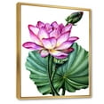 thumbnail image 3 of Designart 'Ancient Pink Lotuses In The Pond VI' Traditional Framed Canvas Wall Art Print, 3 of 5