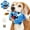 darkbluesuperman, variant on Interactive Monster Plush Giggle Ball Shake Crazy Bouncer Dog Toy Exercise Electronic Toy For Puppy Motorized Entertainment Pets