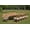 Brown 2, variant on Grade-A Teak Dining Set: 8 Seater 9 Pc: 94" Double Extension Oval Table And 8 Vellore Stacking Arm Chairs Outdoor Patio WholesaleTeak #WMDSWVm