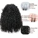 thumbnail image 4 of Extensiones de cabello humano a ganchillo YOUNG BEAUTY Kinky Curly de 20 pulgadas, 4 of 8